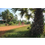 Team 133 / Raid Amazones Cambodge - J5 VTT