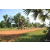Team 45 / Raid Amazones Cambodge - J5 VTT