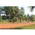 Team 166 / Raid Amazones Cambodge - J5 VTT