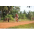 Team 158 / Raid Amazones Cambodge - J5 VTT