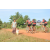 Team 137 / Raid Amazones Cambodge - J5 VTT