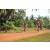 Team 134 / Raid Amazones Cambodge - J5 VTT