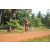 Team 184 / Raid Amazones Cambodge - J5 VTT