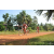 Team 138 / Raid Amazones Cambodge - J5 VTT