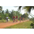 Team 104 / Raid Amazones Cambodge - J5 VTT