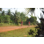 Team 31 / Raid Amazones Cambodge - J5 VTT