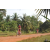 Team 173 / Raid Amazones Cambodge - J5 VTT
