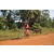 Team 173 / Raid Amazones Cambodge - J5 VTT
