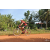 Team 116 / Raid Amazones Cambodge - J5 VTT