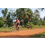 Team 115 / Raid Amazones Cambodge - J5 VTT