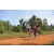 Team 116 / Raid Amazones Cambodge - J5 VTT