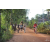 Team 165 / Raid Amazones Cambodge - J5 VTT