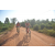 Team 53 / Raid Amazones Cambodge - J5 VTT