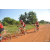 Team 62 / Raid Amazones Cambodge - J5 VTT