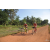 Team 60 / Raid Amazones Cambodge - J5 VTT