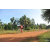 Team 25 / Raid Amazones Cambodge - J5 VTT