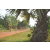 Team 38 / Raid Amazones Cambodge - J5 VTT