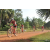 Team 43 / Raid Amazones Cambodge - J5 VTT