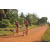 Team 47 / Raid Amazones Cambodge - J5 VTT