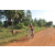 Team 16 / Raid Amazones Cambodge - J5 VTT