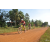 Team 118 / Raid Amazones Cambodge - J5 VTT