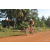 Team 11 / Raid Amazones Cambodge - J5 VTT