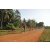 Team 175 / Raid Amazones Cambodge - J5 VTT
