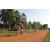 Team 180 / Raid Amazones Cambodge - J5 VTT