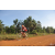 Team 180 / Raid Amazones Cambodge - J5 VTT