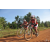 Team 30 / Raid Amazones Cambodge - J5 VTT