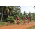 Team 168 / Raid Amazones Cambodge - J5 VTT