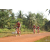 Team 147 / Raid Amazones Cambodge - J5 VTT