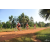 Team 157 / Raid Amazones Cambodge - J5 VTT