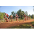 Team 124 / Raid Amazones Cambodge - J5 VTT