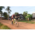 Team 61 / Raid Amazones Cambodge - J5 VTT