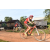 Team 47 / Raid Amazones Cambodge - J5 VTT