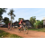Team 51 / Raid Amazones Cambodge - J5 VTT