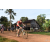 Team 39 / Raid Amazones Cambodge - J5 VTT