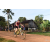 Team 45 / Raid Amazones Cambodge - J5 VTT