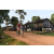 Team 30 / Raid Amazones Cambodge - J5 VTT