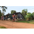 Team 30 / Raid Amazones Cambodge - J5 VTT