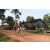 Team 33 / Raid Amazones Cambodge - J5 VTT