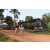 Team 33 / Raid Amazones Cambodge - J5 VTT