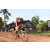 Team 28 / Raid Amazones Cambodge - J5 VTT
