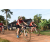 Team 19 / Raid Amazones Cambodge - J5 VTT