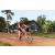Team 19 / Raid Amazones Cambodge - J5 VTT