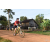 Team 31 / Raid Amazones Cambodge - J5 VTT