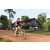 Team 21 / Raid Amazones Cambodge - J5 VTT