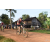 Team 08 / Raid Amazones Cambodge - J5 VTT