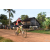 Team 08 / Raid Amazones Cambodge - J5 VTT